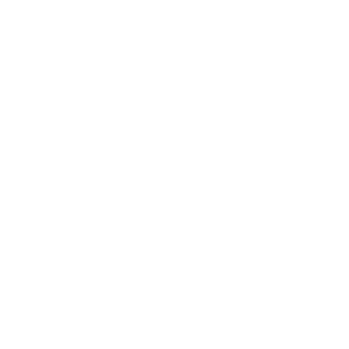 Mobile online shopping icon
